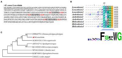 Functional Identification and Characterization of Leucokinin and Its Receptor in the Fall Webworm, Hyphantria cunea